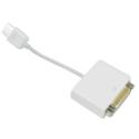 Apple Micro DVI to DVI Adapter