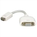 Apple Mini DVI to VGA Adapter