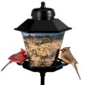 Bird Feeder