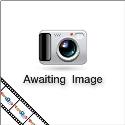 WWE Elite Action Figure - Randy Orton WWE Elite Action Figure - Randy Orton