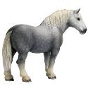 Schleich Percheron Stallion