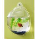 Wall mounted Fish bowls