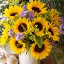 Super Fairtrade Sunflowers