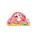 Tiny Love Gymini Tiny Princess Play Gym