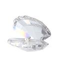 Swarovski Crystal - Shell