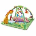 Fisher Price Rainforest Gym