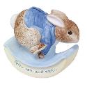 Beatrix Potter - Peter Rabbit Money Box