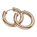 9ct Gold Hoop Earrings