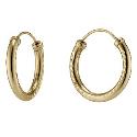 9ct Gold Small Hoop Earrings