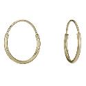 9ct Gold Small Sleeper Earrings