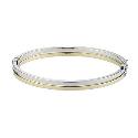 9ct Gold Double Bar Hinged Bangle