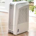 DeLonghi Dehumidifier