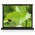 Pico Genie Portable Mini Screen (40" Screen)