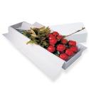 One Dozen Chocolate Roses (White Box)