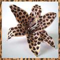 Leopard lily hair clip