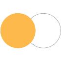 Lastolite 95cm Reflector - Gold/White