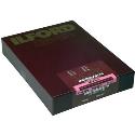 Ilford MGFBWT1K 11x14 inch 50 sheets 1865509