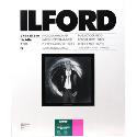 Ilford MG4FB1K 14x11 inch 10 sheets 1833553